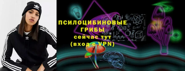 прущие крисы Каменка