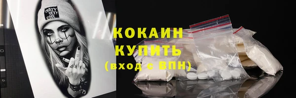 прущие крисы Каменка
