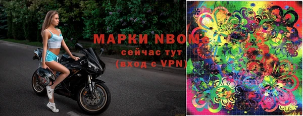 прущие крисы Каменка