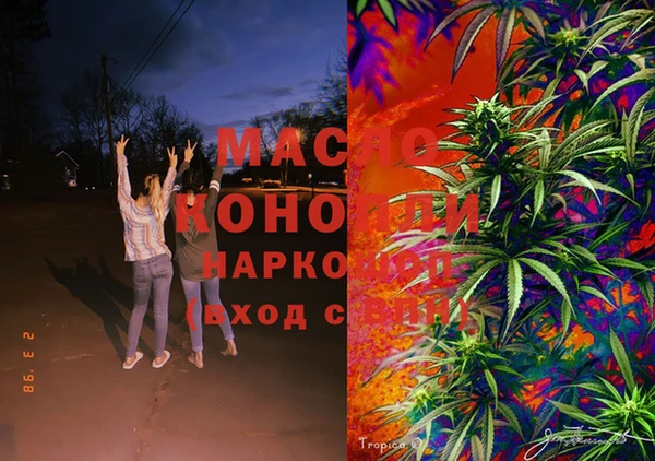 прущие крисы Каменка
