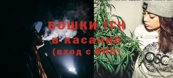 прущие крисы Каменка