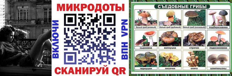 Купить закладки  Хасавюрт  Псилоцибиновые грибы Psilocybe 